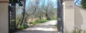 Entrance to Italy Villa Painting Workshop