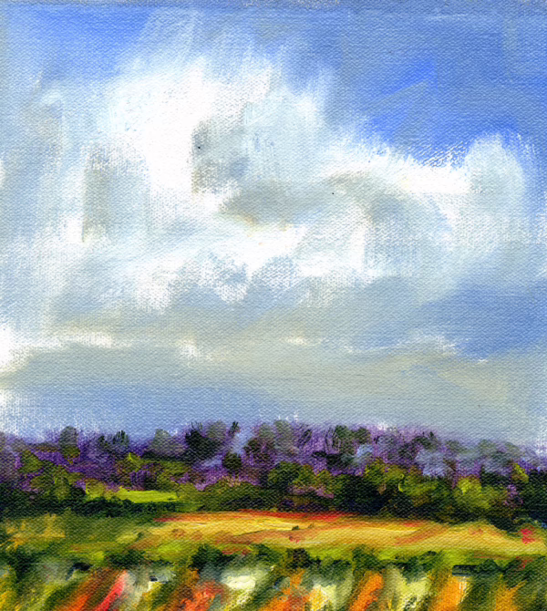 Italy olive groves orange and blue oil painting