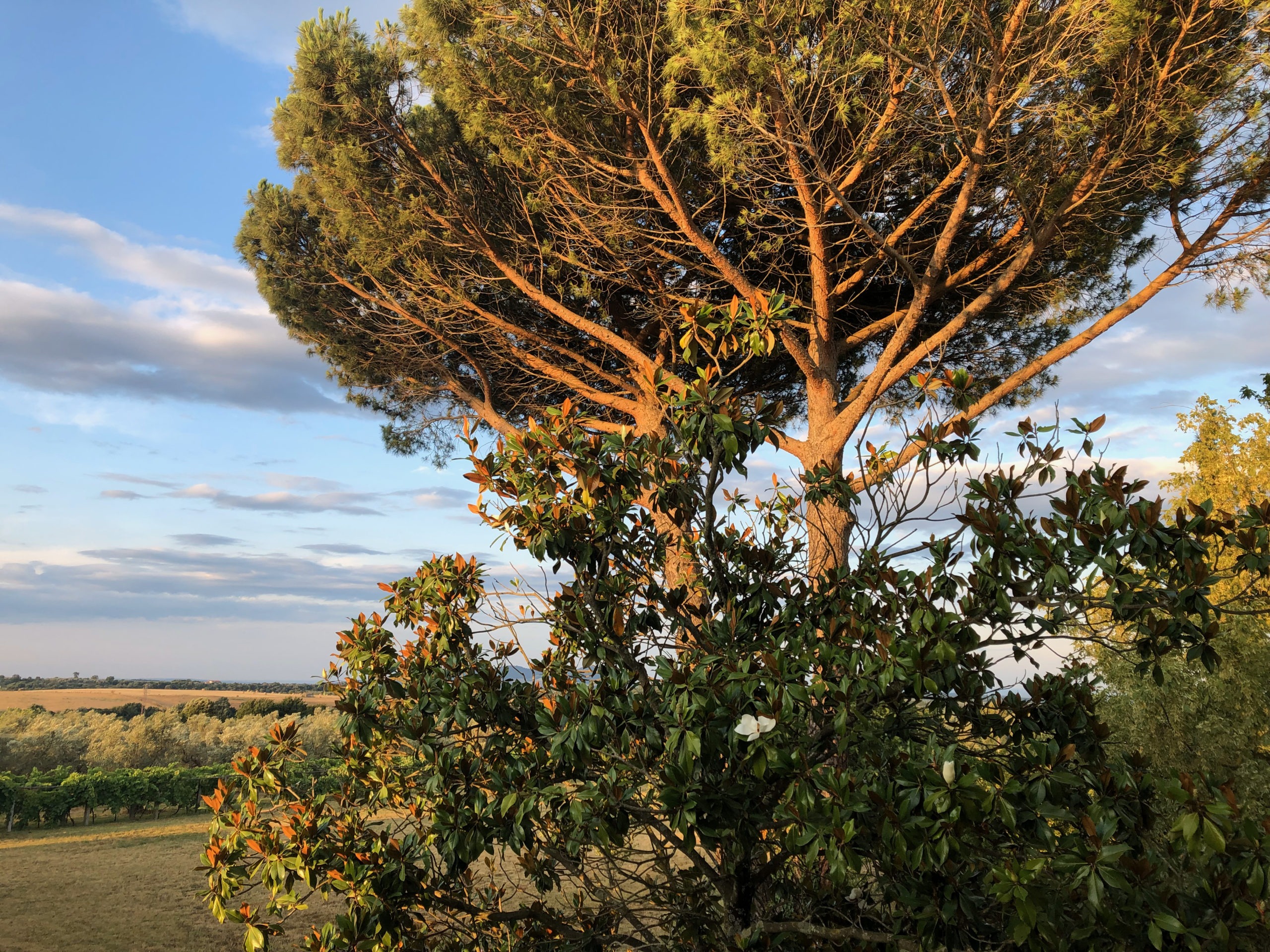 Sunset at the villa