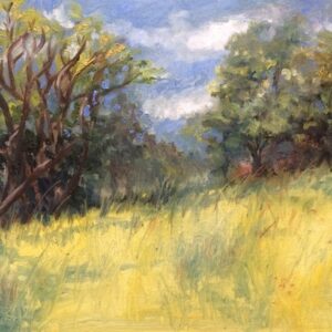 Weir Farm – Summer's Day