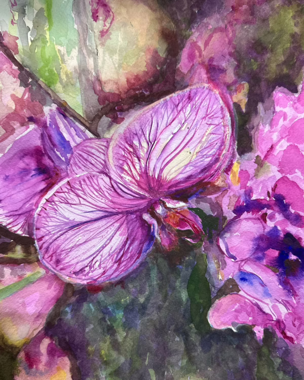 orchid watercolor demo